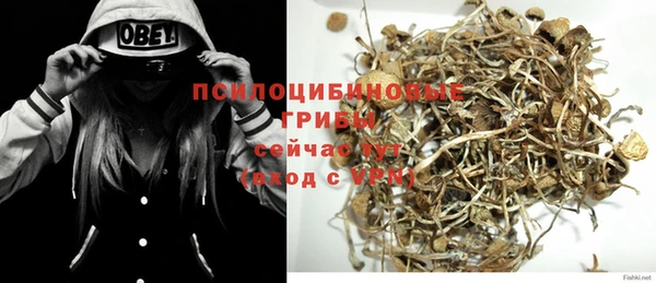 винт Белоозёрский