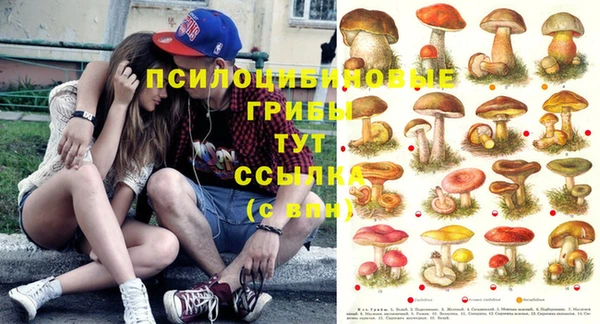 винт Белоозёрский
