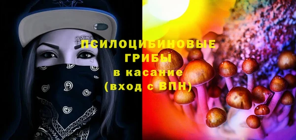 ГАЛЛЮЦИНОГЕННЫЕ ГРИБЫ Беломорск