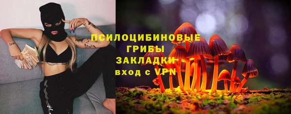 ГАЛЛЮЦИНОГЕННЫЕ ГРИБЫ Беломорск