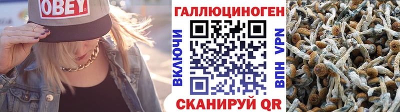 KRAKEN зеркало  Богучар  Галлюциногенные грибы прущие грибы 